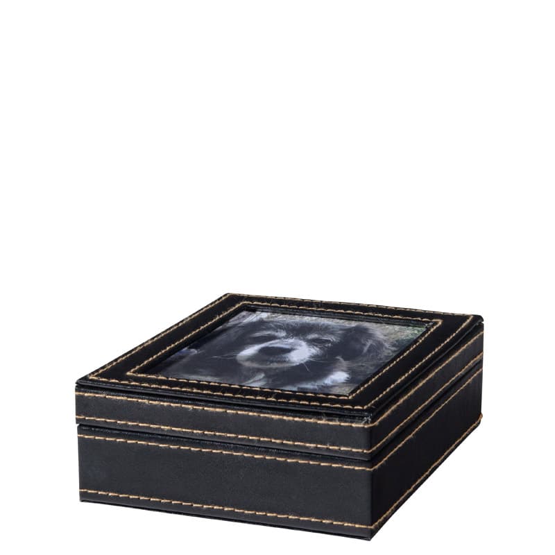 Leather-Clay-Paw-Print-Kit